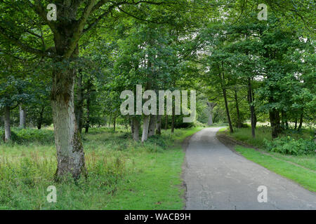 Blenheim Palace. Die schönen Parks und die Gründe des Blenheim Palace Estate. Britische Landschaft. Woodstock, Oxfordshire, England, Vereinigtes Königreich. Stockfoto