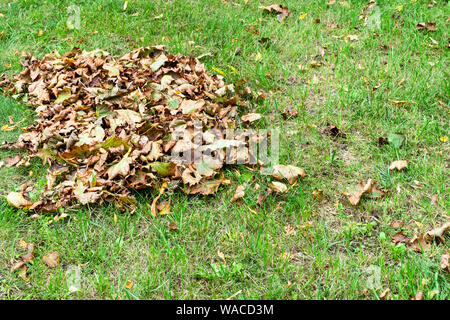 Haufen Laub auf den grünen Rasen von Ort Straße im Herbst Stockfoto