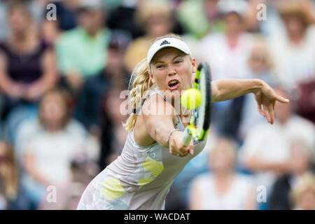 Caroline Wozniacki aus Dänemark spielen einhändige Rückhand gegen Samantha Stosur von Australien Schuß an Aegon International 2016, Eastbourne, Engla Stockfoto