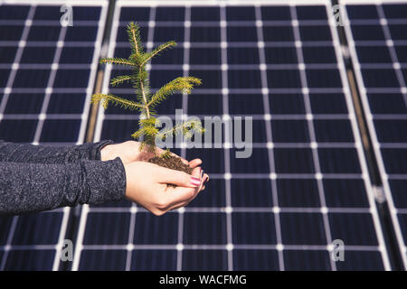 Speichern Natur mit grünen Solarenergie Konzept. Und versehentlich auch lustige optische Illusion Konzept, Punkte flackern, wechselnden Orten auf dem hinterg Stockfoto