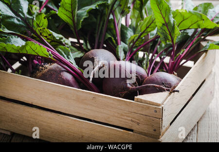 Frische organische homegrown Rote Bete in Holzkiste, vegan auf Basis pflanzlicher Lebensmittel, Nahaufnahme, selektiver Fokus Stockfoto