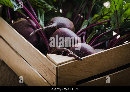 Frische organische homegrown Rote Bete in Holzkiste, vegan auf Basis pflanzlicher Lebensmittel, Nahaufnahme, selektiver Fokus Stockfoto