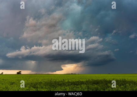 Ein Tornado dreht sich in der Ferne unter einem supercell-Gewitter in der Nähe von Joes, Colorado, USA Stockfoto