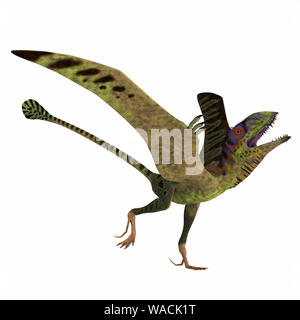 Peteinosaurus war eine fleischfressende Flying pterosaur, dass in Italien während der Trias lebte. Stockfoto