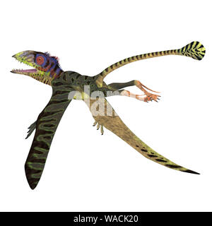 Peteinosaurus war eine fleischfressende Flying pterosaur, dass in Italien während der Trias lebte. Stockfoto