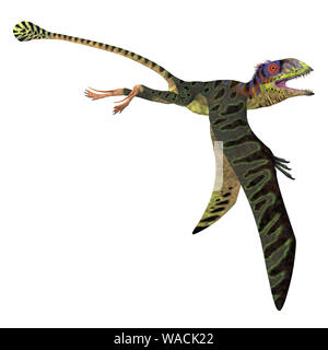 Peteinosaurus war eine fleischfressende Flying pterosaur, dass in Italien während der Trias lebte. Stockfoto