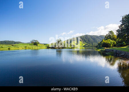 Daintree River View Stockfoto