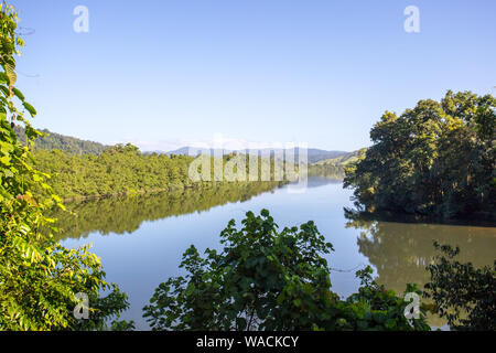 Daintree River View Stockfoto