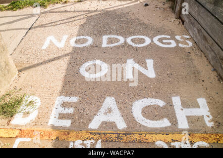 Keine doge am Strand erlaubt, England, Großbritannien Stockfoto