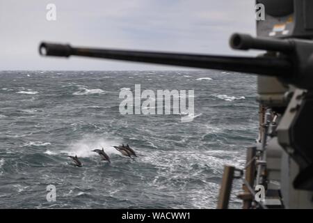 Delphine neben USS Donald Cook (DDG-75) Stockfoto