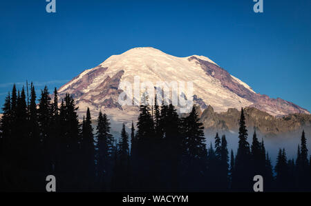 Mt Rainier mit Morgennebel und Bäume aus dem naches Loop Trail gesehen, Washington Stockfoto