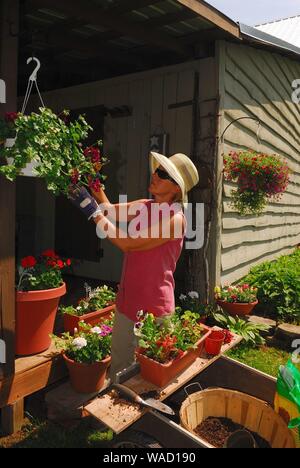 Cathy Beck Gartenarbeit in ihren Stall in der Landschaft von Pennsylvania Stockfoto