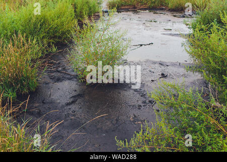 Schwarzes Wasser und Verschmutzung auf den Fluss führen aus Abfällen von der Fabrik Stockfoto