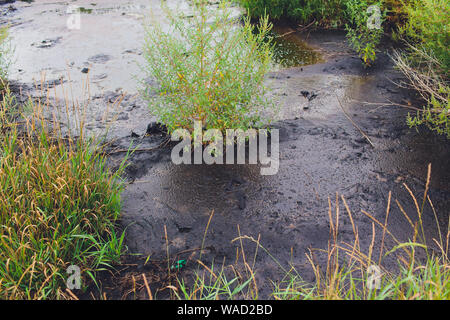 Schwarzes Wasser und Verschmutzung auf den Fluss führen aus Abfällen von der Fabrik Stockfoto