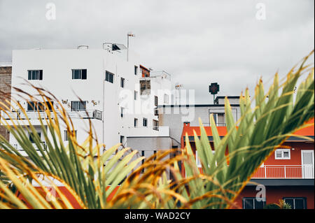 Verschiedene Häuser hinter dürren Palmblättern an bewölkten Himmel Hintergrund in Teneriffa. Stockfoto