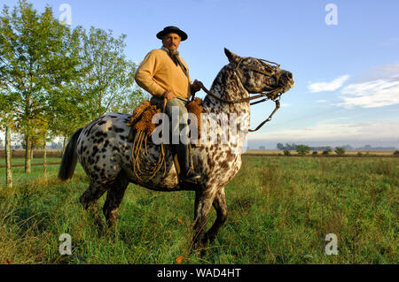 Gaucho Ramon Castro, Hacienda El Ombu de Areco, San Antonio de Areco, Buenos Aires, Argentinien, Südamerika Stockfoto