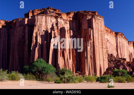 Südamerika ; Argentinien ; Argentinien ; Anden; La Rioja, Villa Union, Parque Nacional Talampaya, Stockfoto