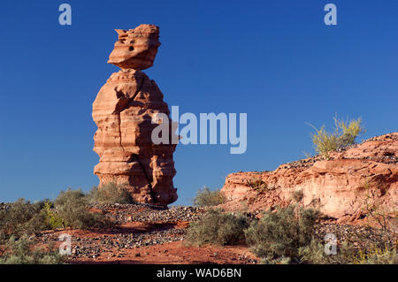 Rock Säule, Parque Nacional Talampaya, in der Nähe von Villa Union, La Rioja, Argentinien, Südamerika Stockfoto