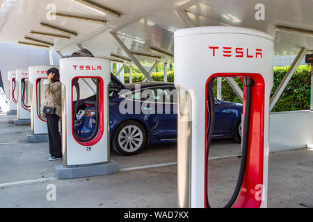 - - Datei - - Ladung Pfähle werden in einem Tesla Ladestation in Shanghai, China, 3. Mai 2019 gesehen. Us-Elektroauto Teekocher Tesla sagte am Mittwoch, dass es hatte Stockfoto