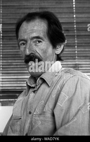 Don Julio Ramón Ribeyro (7/8). Stockfoto
