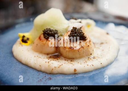 Pfanne gebratene Jakobsmuscheln mit Kaviar und molekularen Schaum auf Blau Ton Platte, close-up Stockfoto