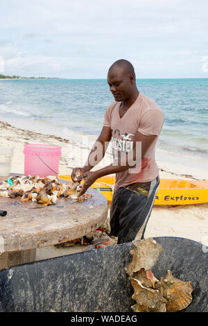 Lokale Arbeiter Reinigung Muscheln am Strand, in den Blue Hills von Provenciales in Turks- und Caicosinseln. Ein Britisches Territorium in den Bahamas. Stockfoto