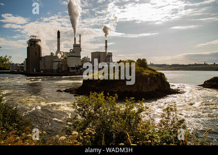 Zellstofffabrik auf die Rückfahrscheinwerfer fällt, Saint John, New Brunswick Stockfoto