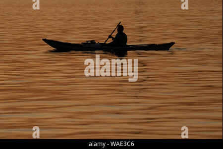 Berlin, Deutschland. 19 Aug, 2019. Eine kanutin Laufwerke auf der Spree in den Abend. Credit: Paul Zinken/dpa/Alamy leben Nachrichten Stockfoto