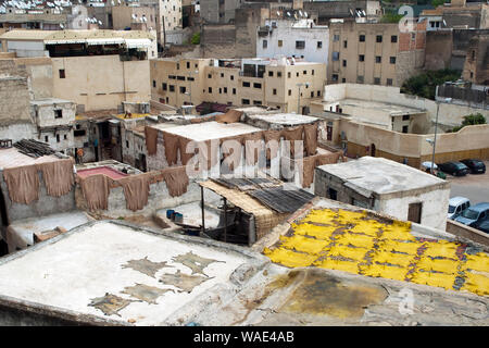 Fes Marokko, gefärbte Häute, die bei der gerberei in Wohngebiet zu trocknen Stockfoto