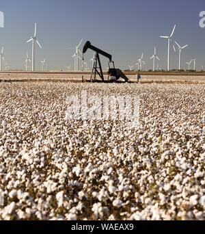 Die Ölförderung und die Windkraft erzeugt in einem ausgereiften Cotton Field Stockfoto