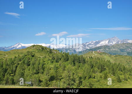 Wiesen und Wald in den Brenta Dolomiten mit felsigen und schneebedeckten Bergen im Hintergrund Stockfoto