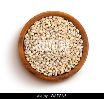 Zweikorn auf weißem Hintergrund, Ansicht von oben Stockfoto