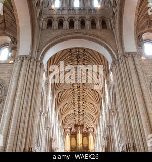 Die Innen- und Sitz des Bischofs von Norwich Cathedral Stockfoto