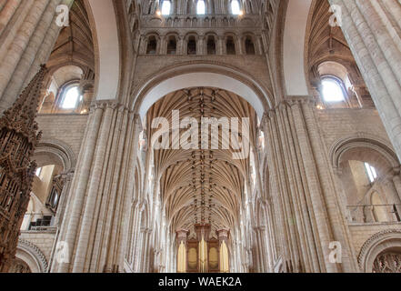 Die Innen- und Sitz des Bischofs von Norwich Cathedral Stockfoto