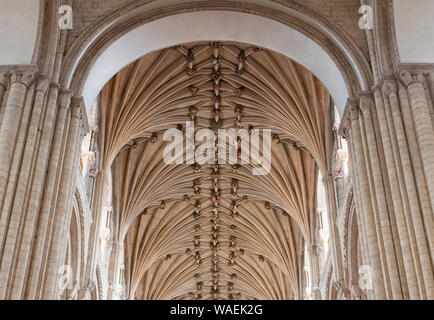 Die Innen- und Sitz des Bischofs von Norwich Cathedral Stockfoto