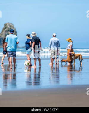 Ein Hund verliebte Paare, Männer und Frauen es vorziehen, Aktivitäten im Freien und gehen mit ihren Hunden am Ufer entlang der nordwestlichen Pazifischen Ozean genießen frische Stockfoto