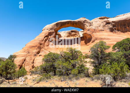 Cedar Tree Arch an Rattlesnake Canyon in McInnis Schluchten National Conservation Area, Colorado State, USA Stockfoto