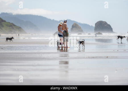 Ein entspanntes Paar Mann und Frau bevorzugen, Aktivitäten im Freien und gehen mit ihren Hunden am Ufer entlang der nordwestlichen Pazifischen Ozean genießen frische h Stockfoto