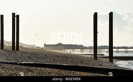 Brighton UK 20. August 2019 - ein schöner sonniger Morgen auf Brighton Seafront als die Wettervorhersage in den nächsten Tagen insbesondere gegenüber der Bank Holiday Wochenende in Großbritannien Kredit zu verbessern: Simon Dack/Alamy leben Nachrichten Stockfoto