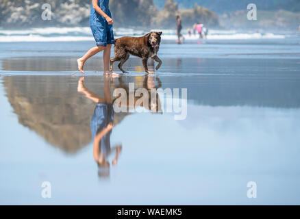 Junge Mädchen in Jeans overalls Barfuß-Wanderungen mit einem alten, braunen Labrador Retriever entlang der Spiegelfläche von Wasser des Pazifischen Ozeans im Nordwesten e Stockfoto