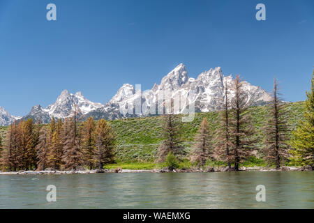 Der Grand Teton National Park Mountain peaks als von einem Boot entlang der Snake River, Wyoming gesehen. Stockfoto