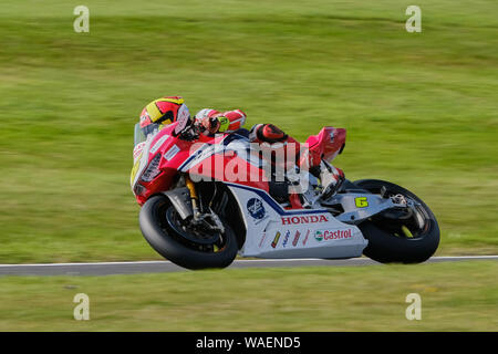 Xavi Forés auf der Honda CBR 1000 RR Fireblade bei BSB Cadwell Park 2019 Stockfoto