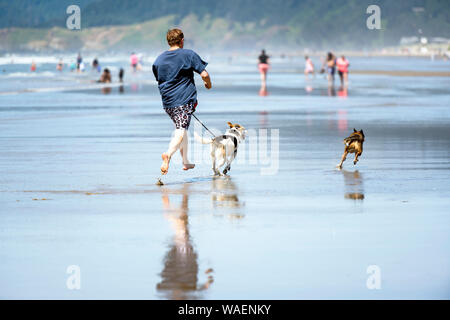 Lustig heiter dynamische Mann in Badehose und t-shirt Barfuß laufen mit zwei Hunden an der Spiegelfläche von Wasser des Pazifischen Ozeans in der N Stockfoto