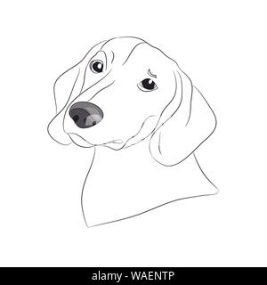 Dog Portrait Ines, Dackel, Linien, Vector, weißer Hintergrund Stock Vektor