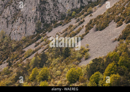 Blockschutthalden unter La Grande Pigne Tal de Combeau Regionaler Naturpark Vercors Frankreich Stockfoto