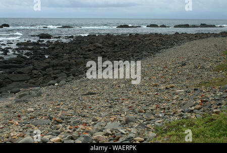 Gonubie Beach, East London, Südafrika Stockfoto