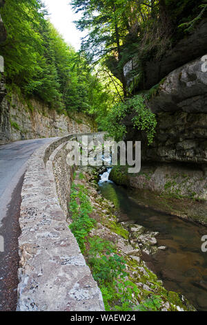 Bourne River Gorges de la Bourne Vercors regionalen Naturpark Frankreich Stockfoto
