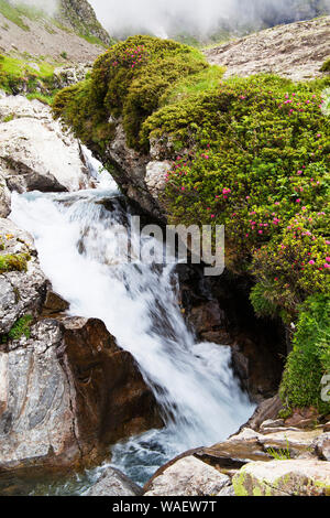 Wasserfall auf dem Stream von Babybett Gedre in der Nähe des Cirque de Troumouse Nationalpark der Pyrenäen Frankreich Stockfoto