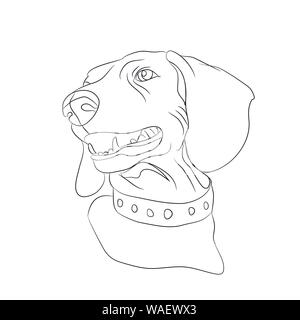 Portrait eines Hundes, Dackel, line, Vector, weißer Hintergrund Stock Vektor