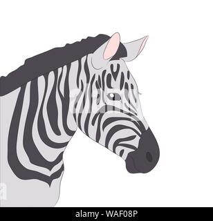Portrait von Zebra Farbe, Vector, weißer Hintergrund Stock Vektor